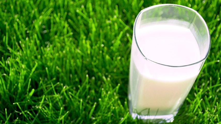 Milk in grass istock.jpg